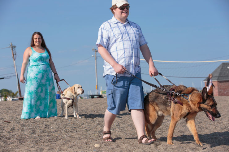 Blind couple with their service dogs walking along the beach