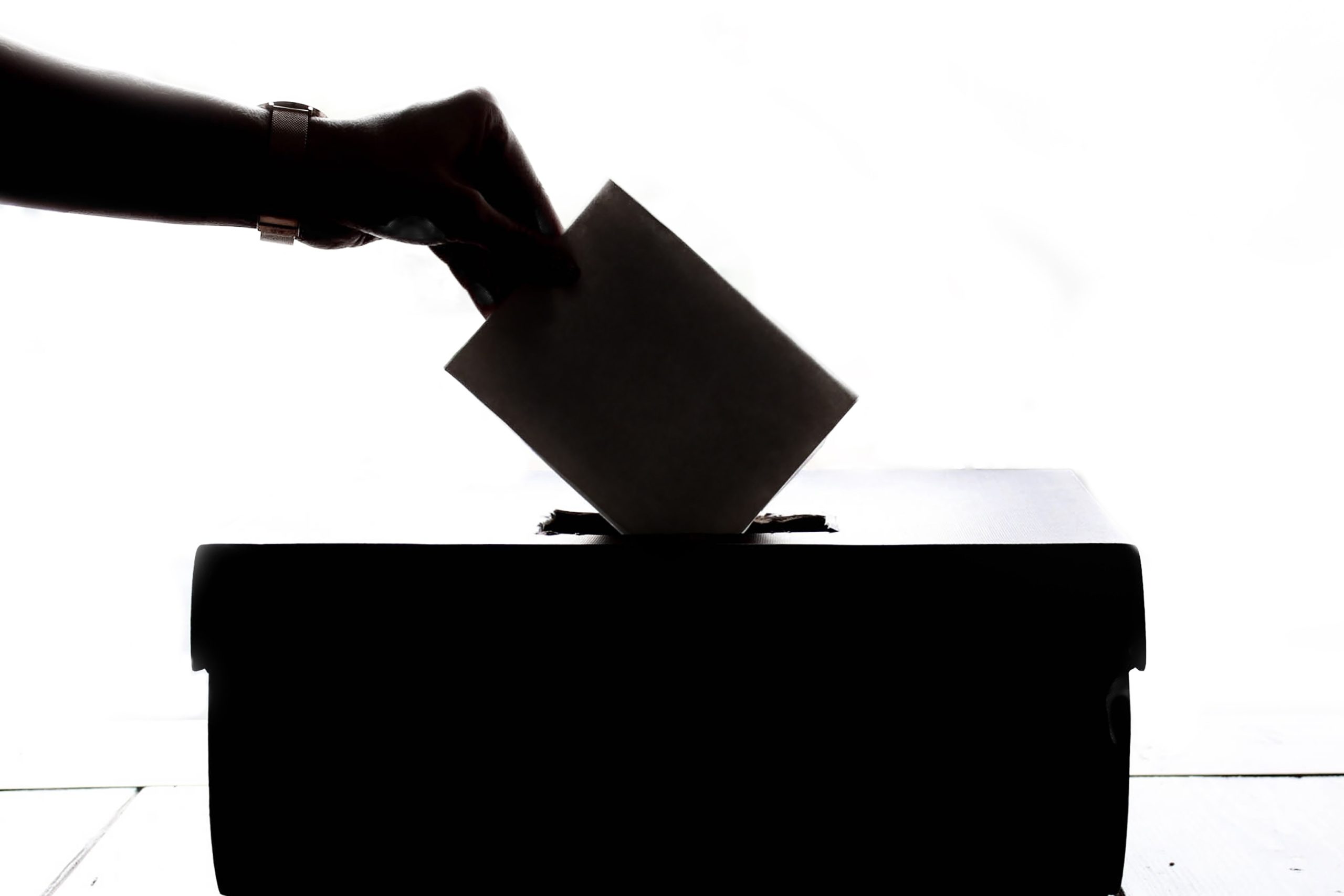 Black and white silhouette of a hand putting a vote in a ballot box.